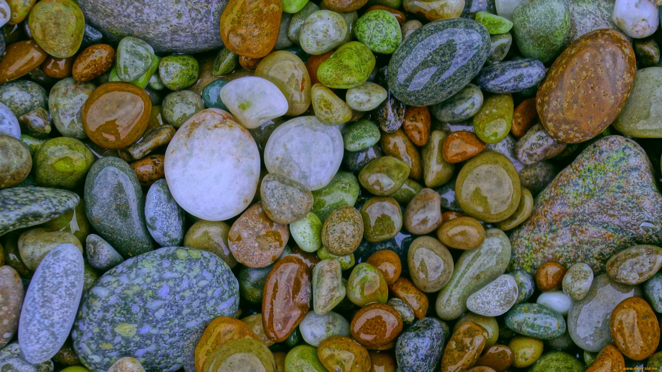 Обои stone. Разноцветные камни. Обои на рабочий стол камни. Красивые камушки. Разноцветная морская галька.