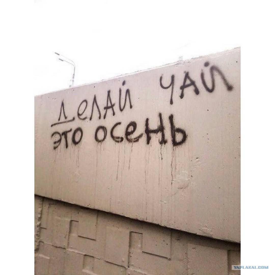 Надписи на улицах города. Надписи на стенах. Забавные надписи на стенах. Мудрые надписи на стенах. Философские надписи на стенах.