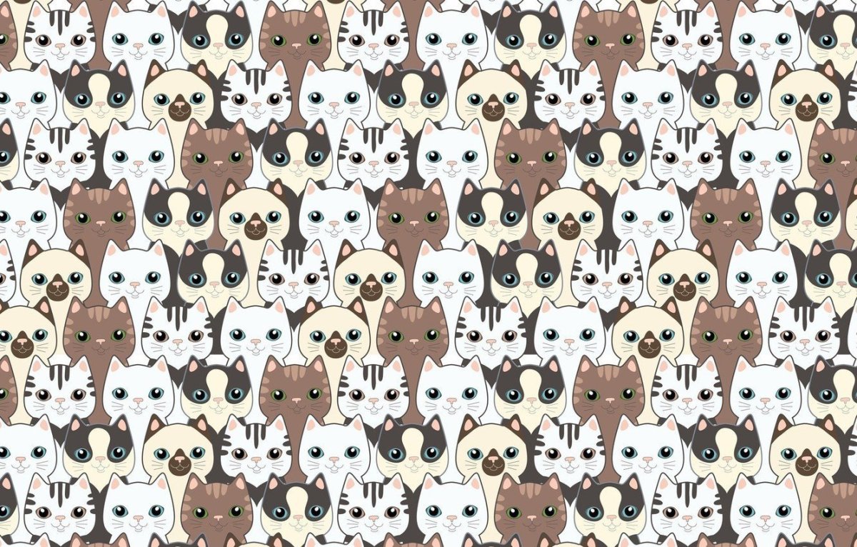 Котокафе Екатеринбург