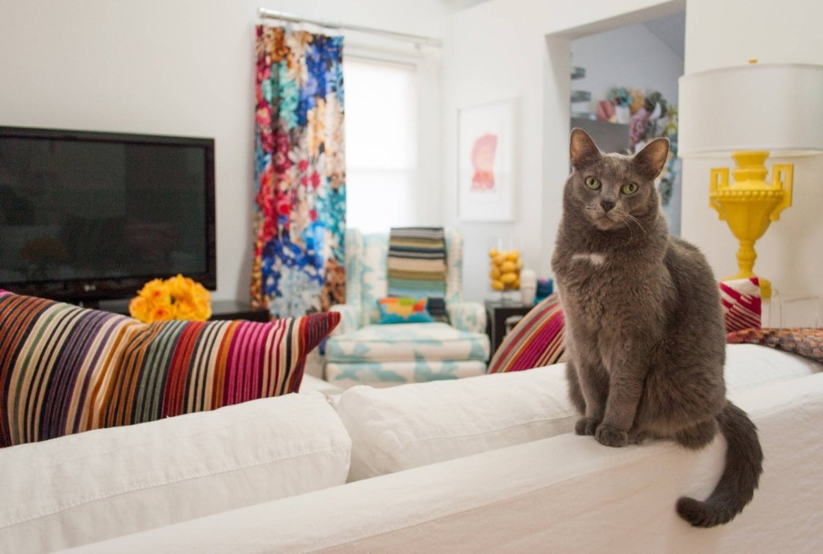 Наклейки на стену