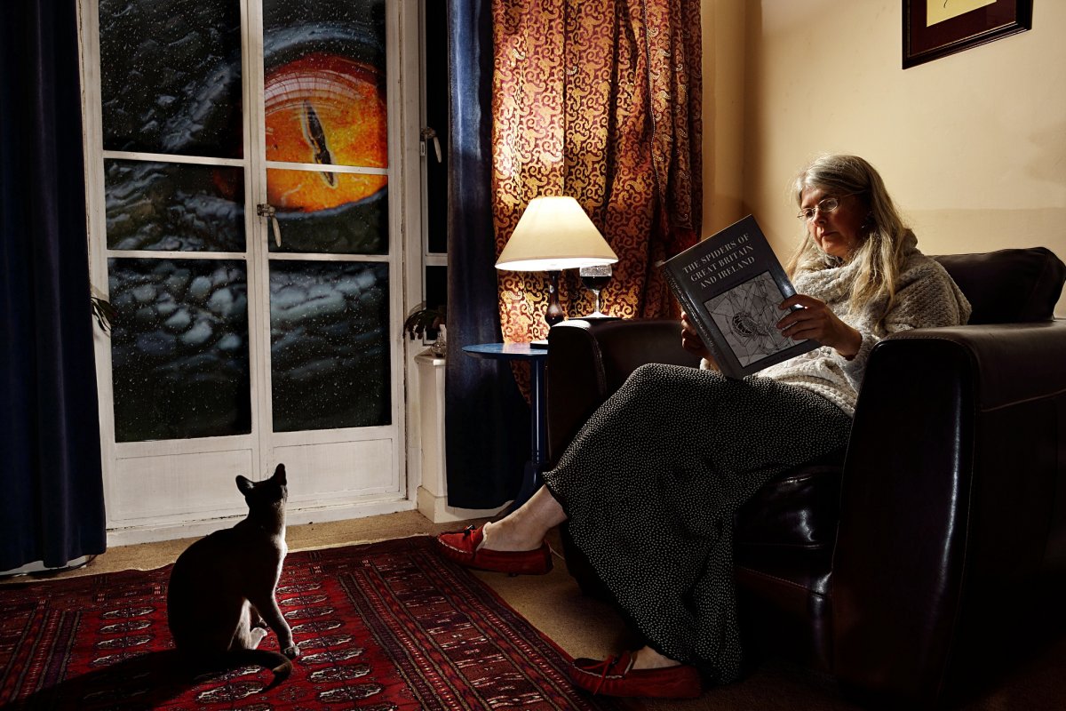 Паттерны с животными