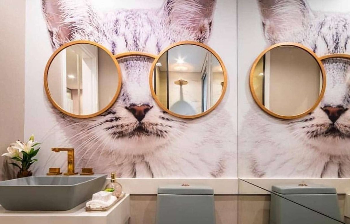 Кошачий Минимализм