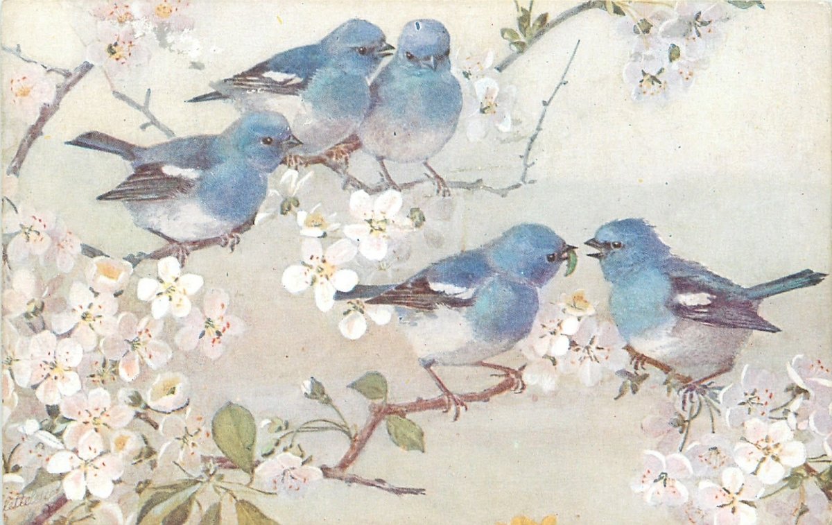 Винтажные птички для декупажа