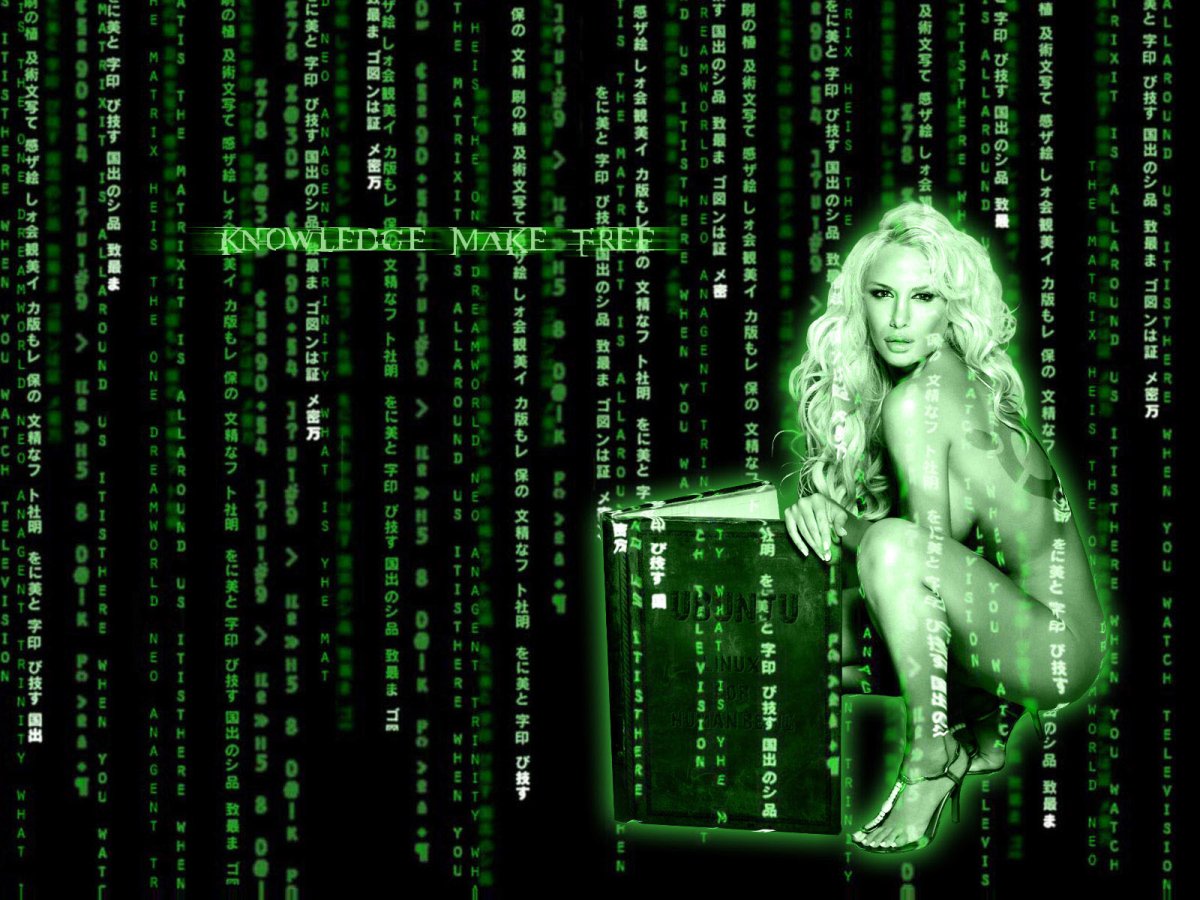 Обои в стиле матрицы