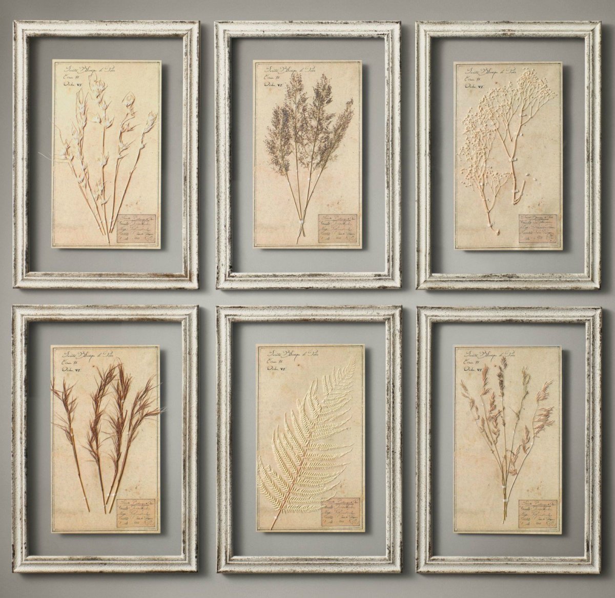 Гербарий Restoration Hardware