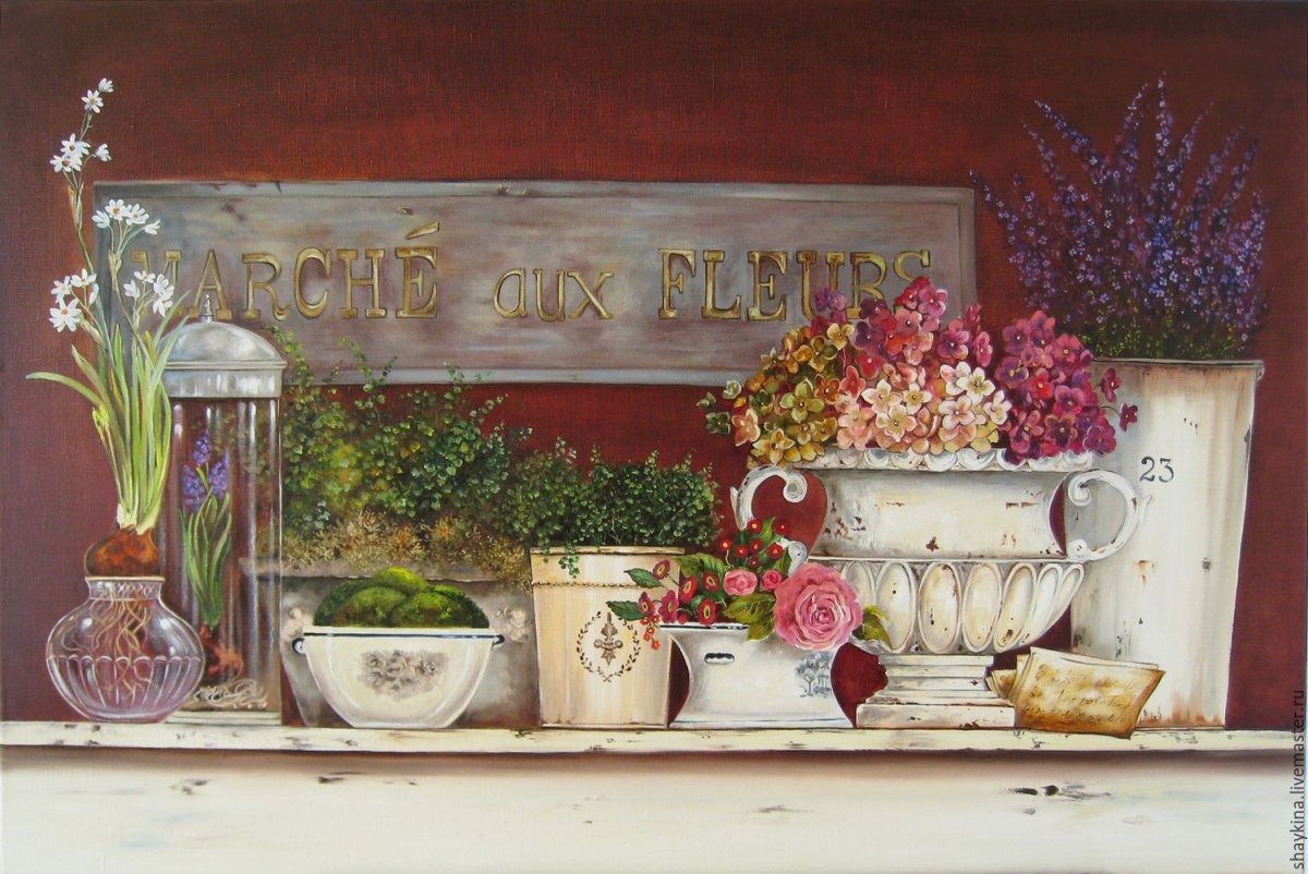 Стефания Ферри