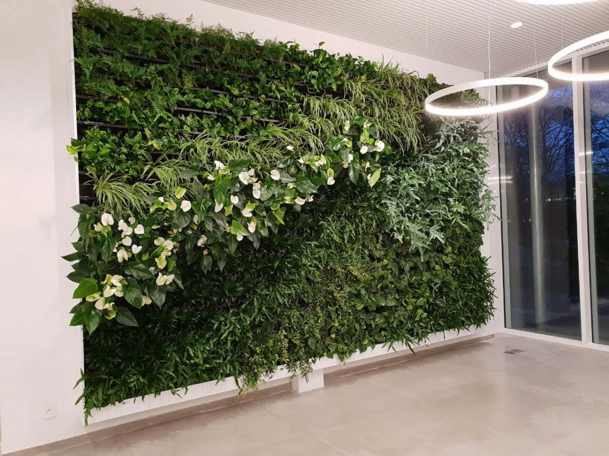 Green Sun фитостены