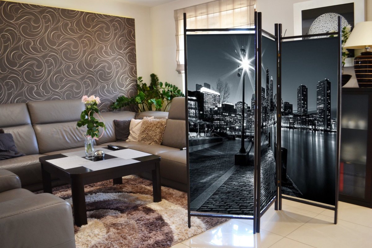 Ширмы для зонирования