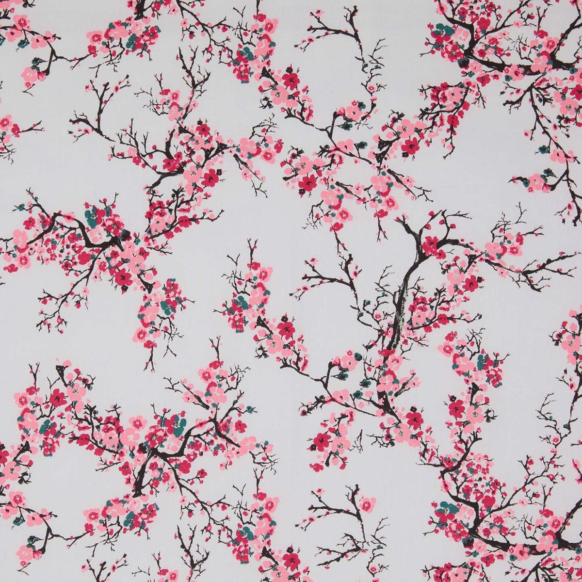 Сакура с10081