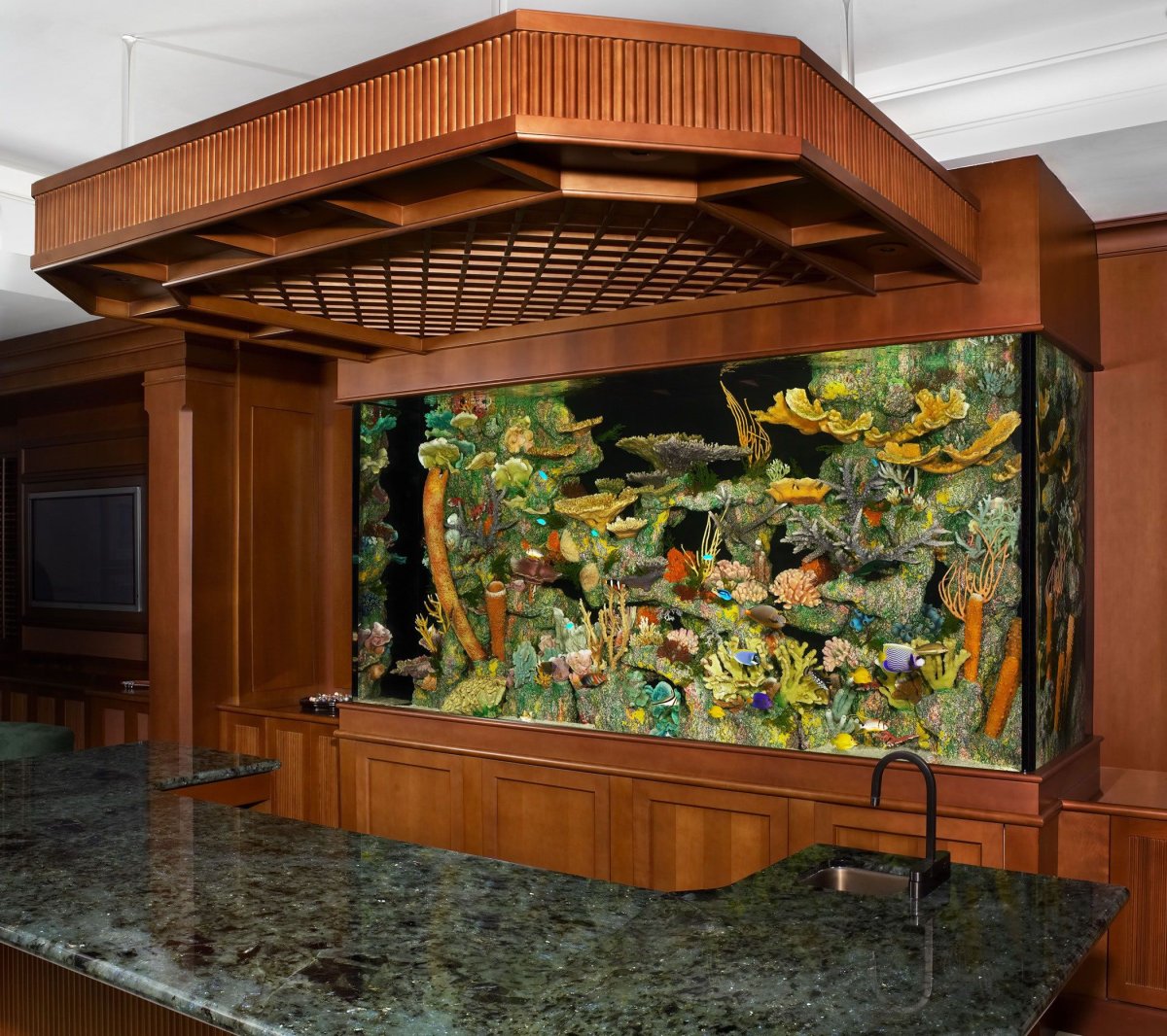 Самые красивые аквариумы