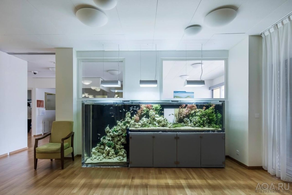 Необычные аквариумы