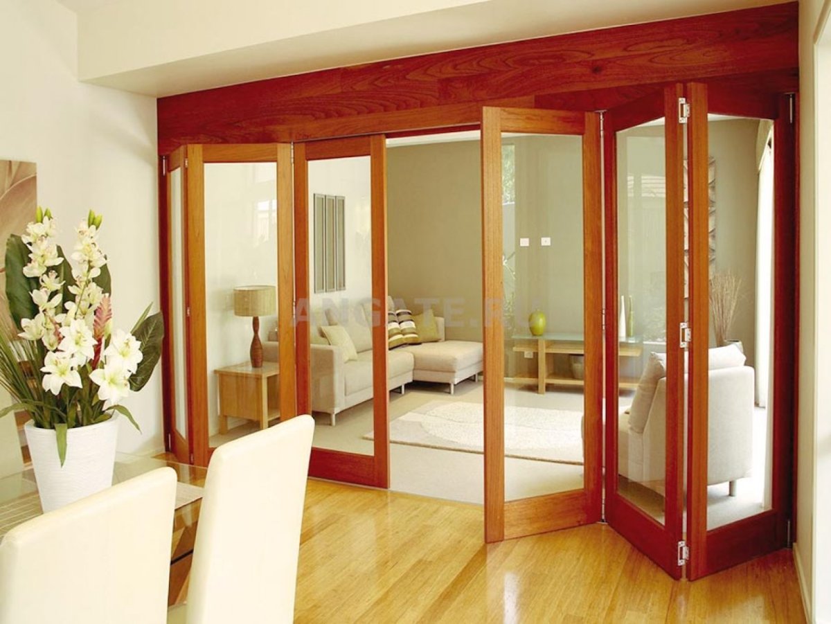 Черная дверь складная