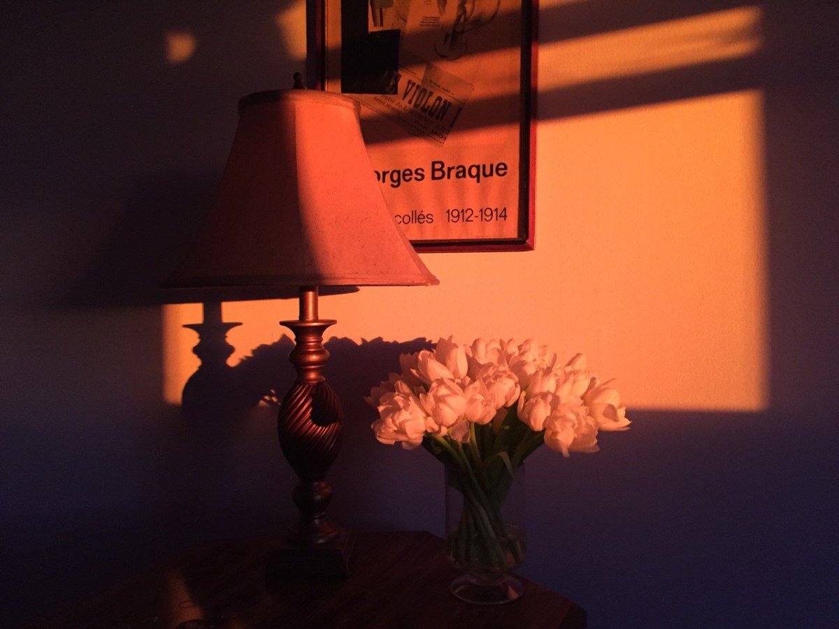 Фиолетовая Эстетика девушка