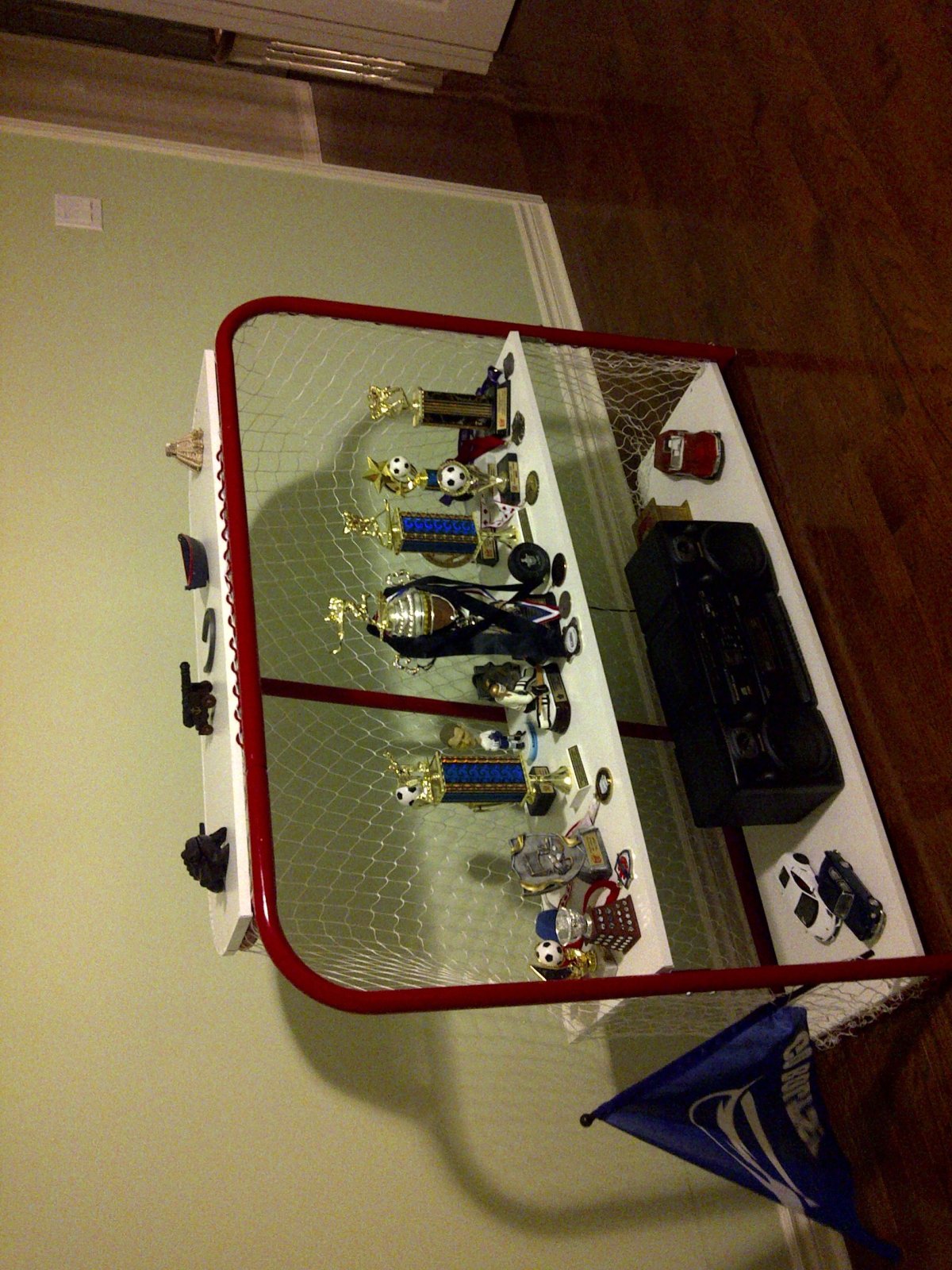 Дверь от хоккея