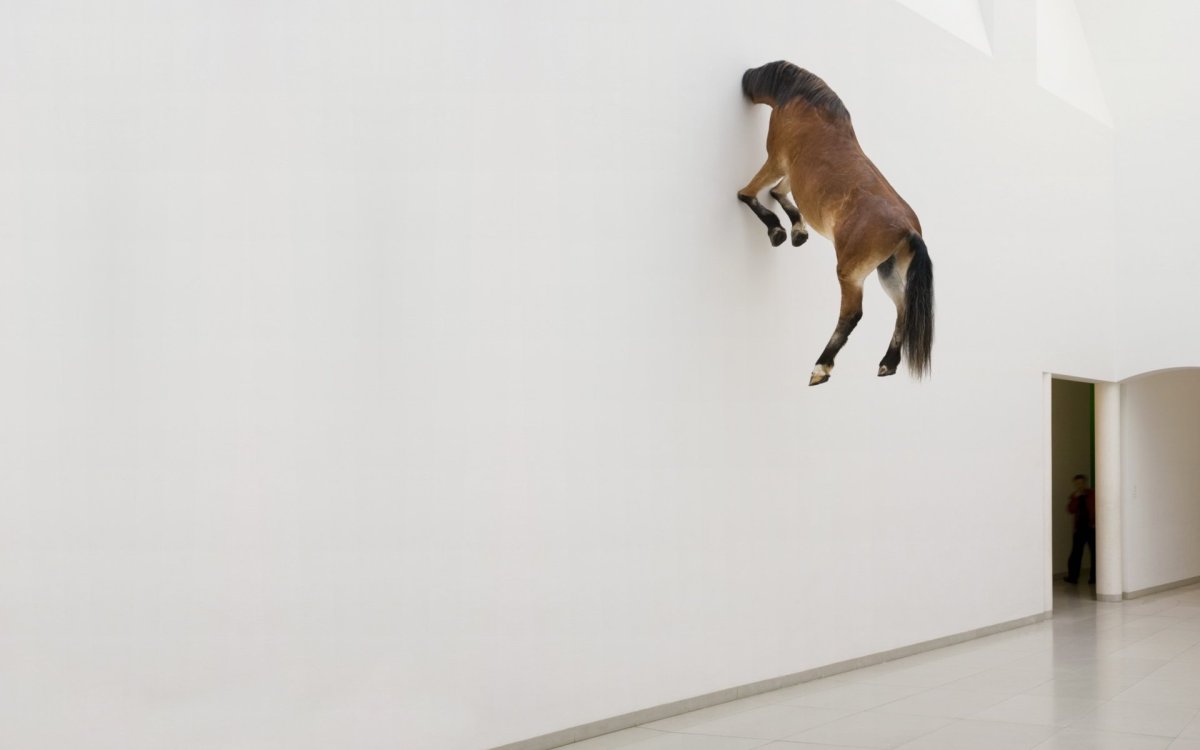 Прикольные обои для ст