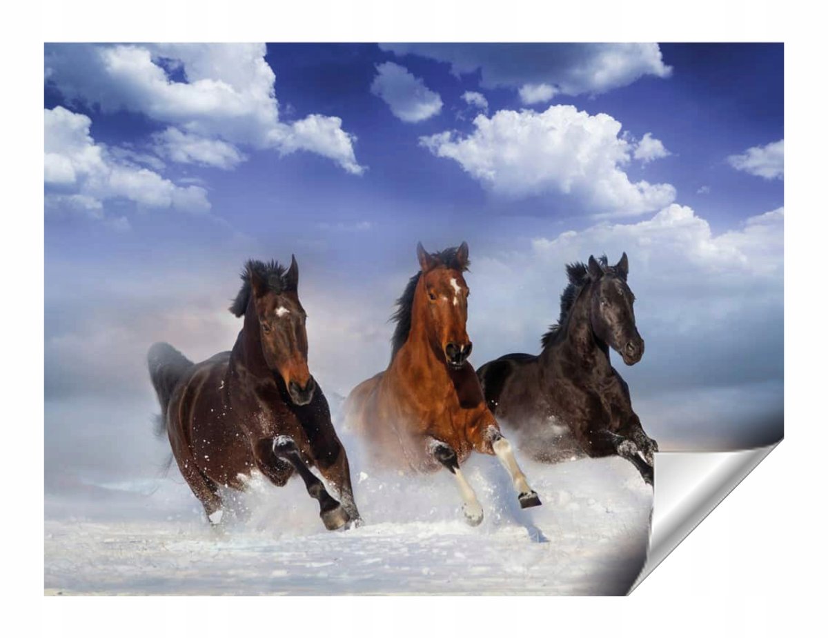 3d обои лошади