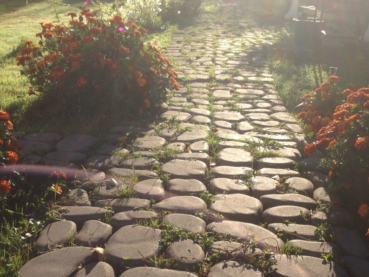 Грин галет Braer