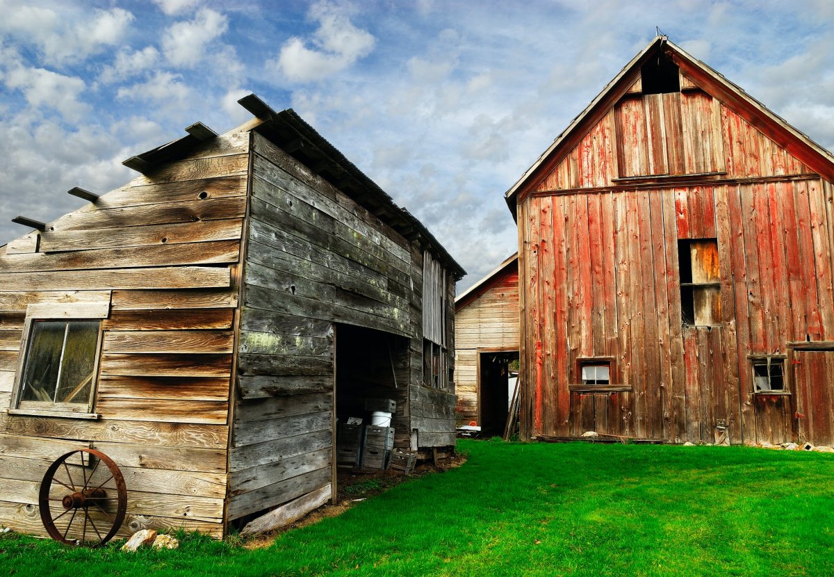 Сарай ферма