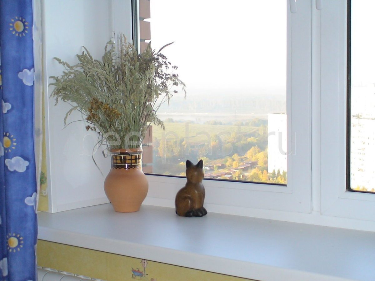 Подоконник с цветами