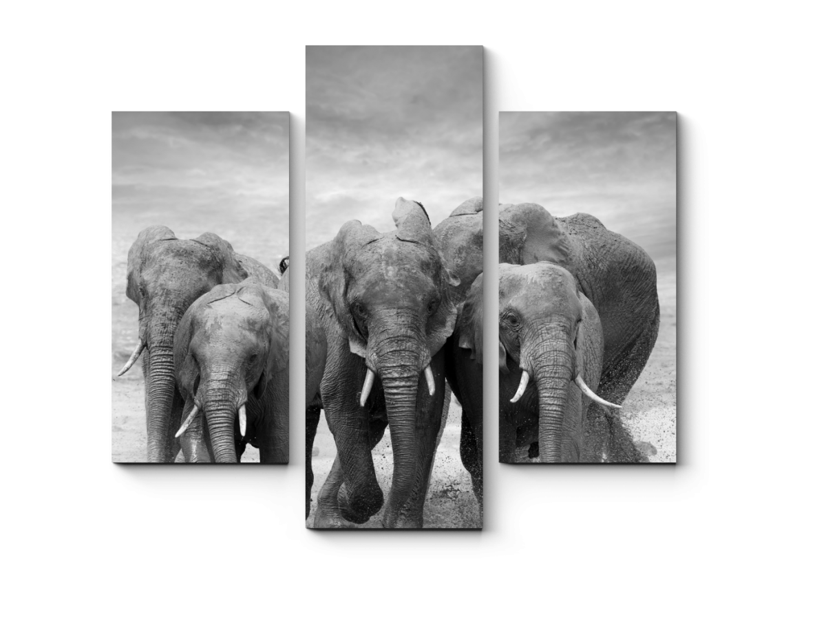 Модульная картина слоны
