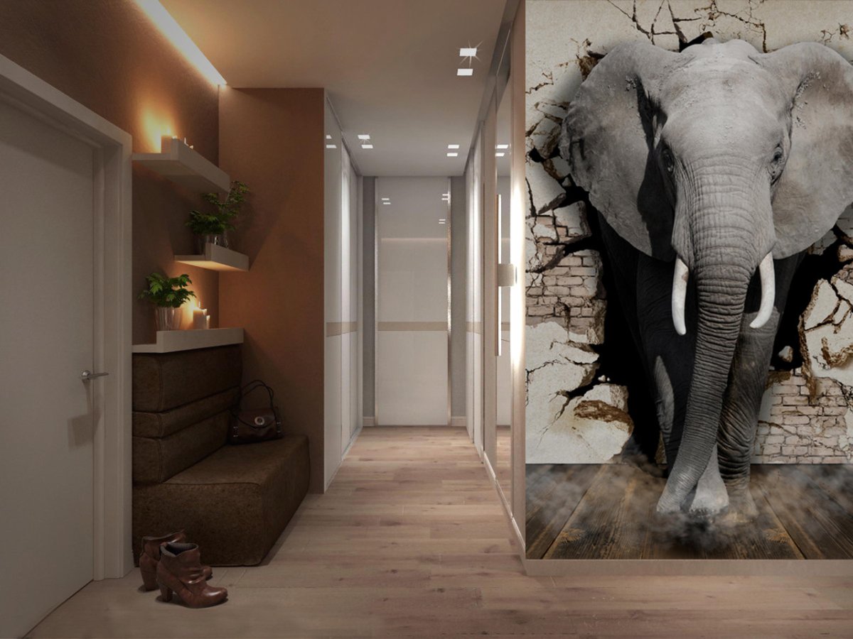 3д обои в прихожую