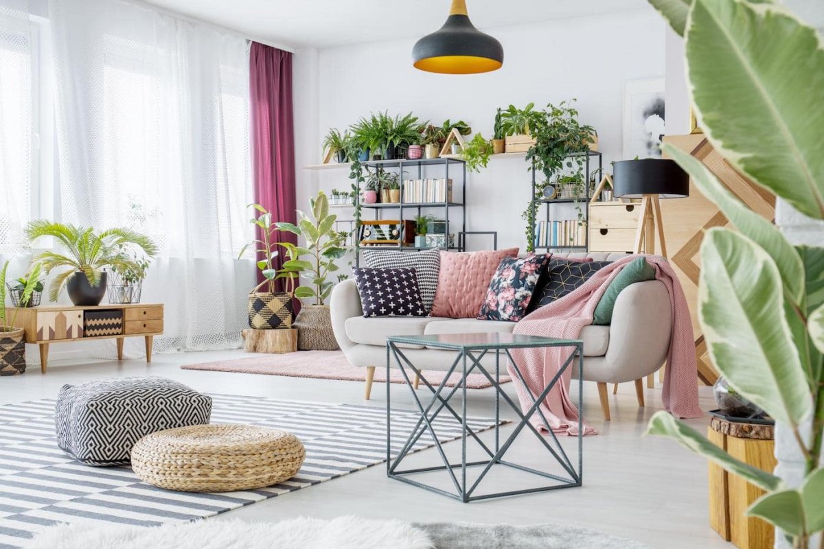 Комнатные растения в интерьере