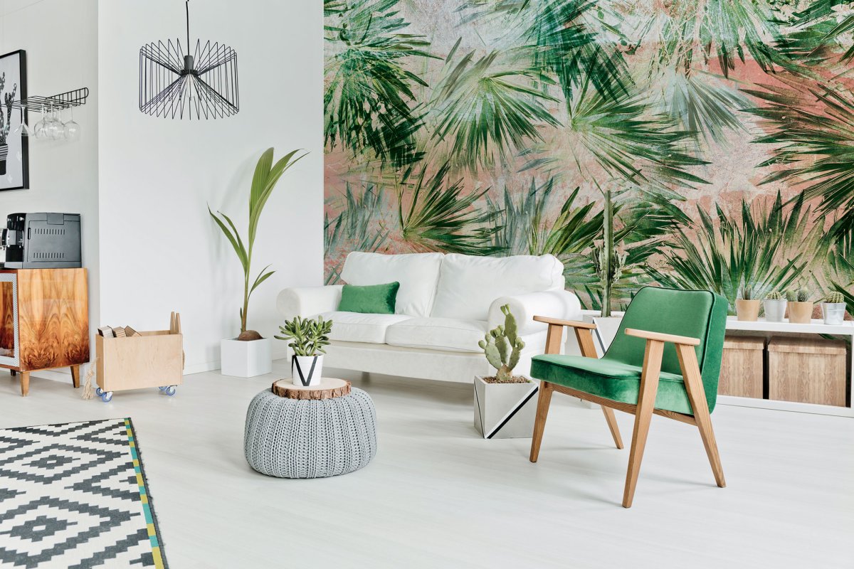 Пальма в комнате