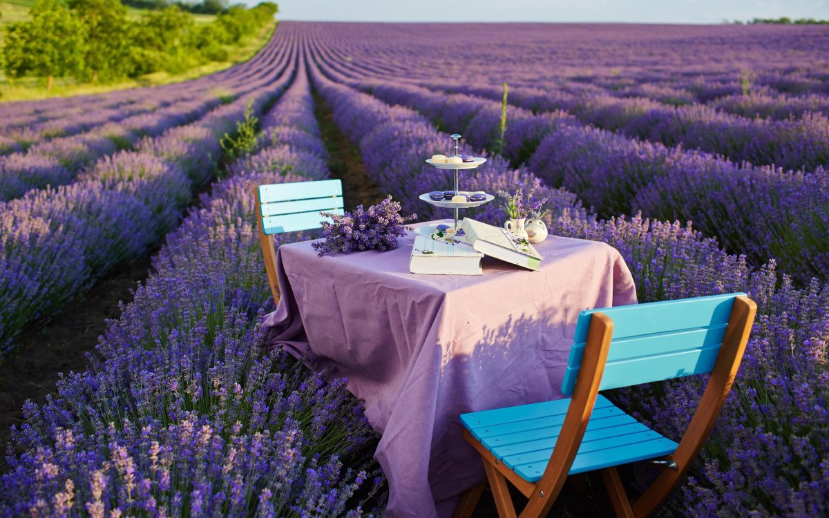 Спальня в сиреневом стиле