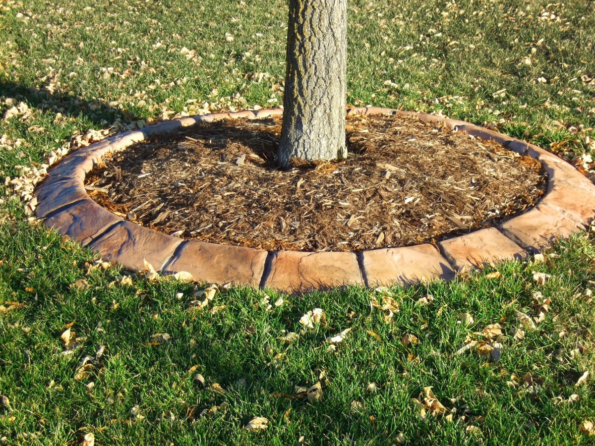 Бордюр для клумб