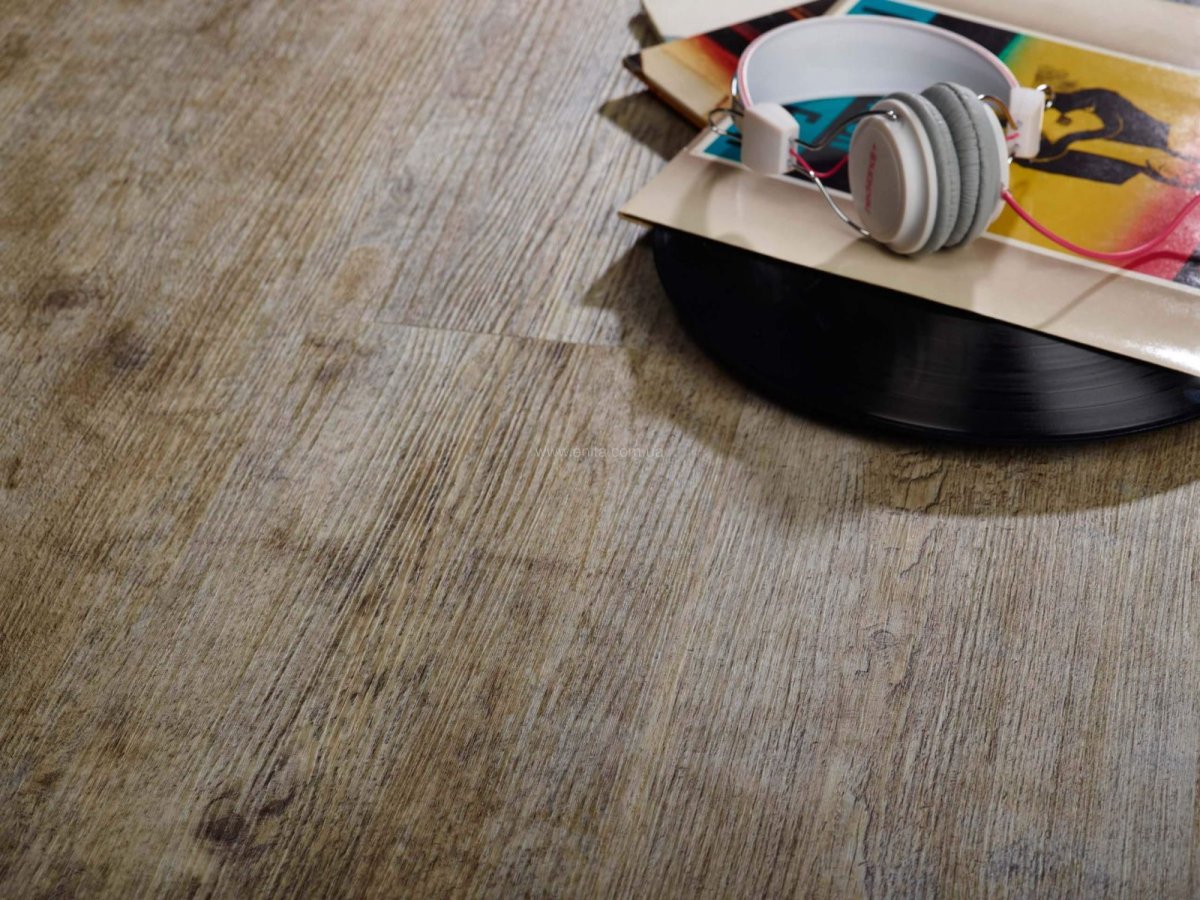 Модулео Селеста