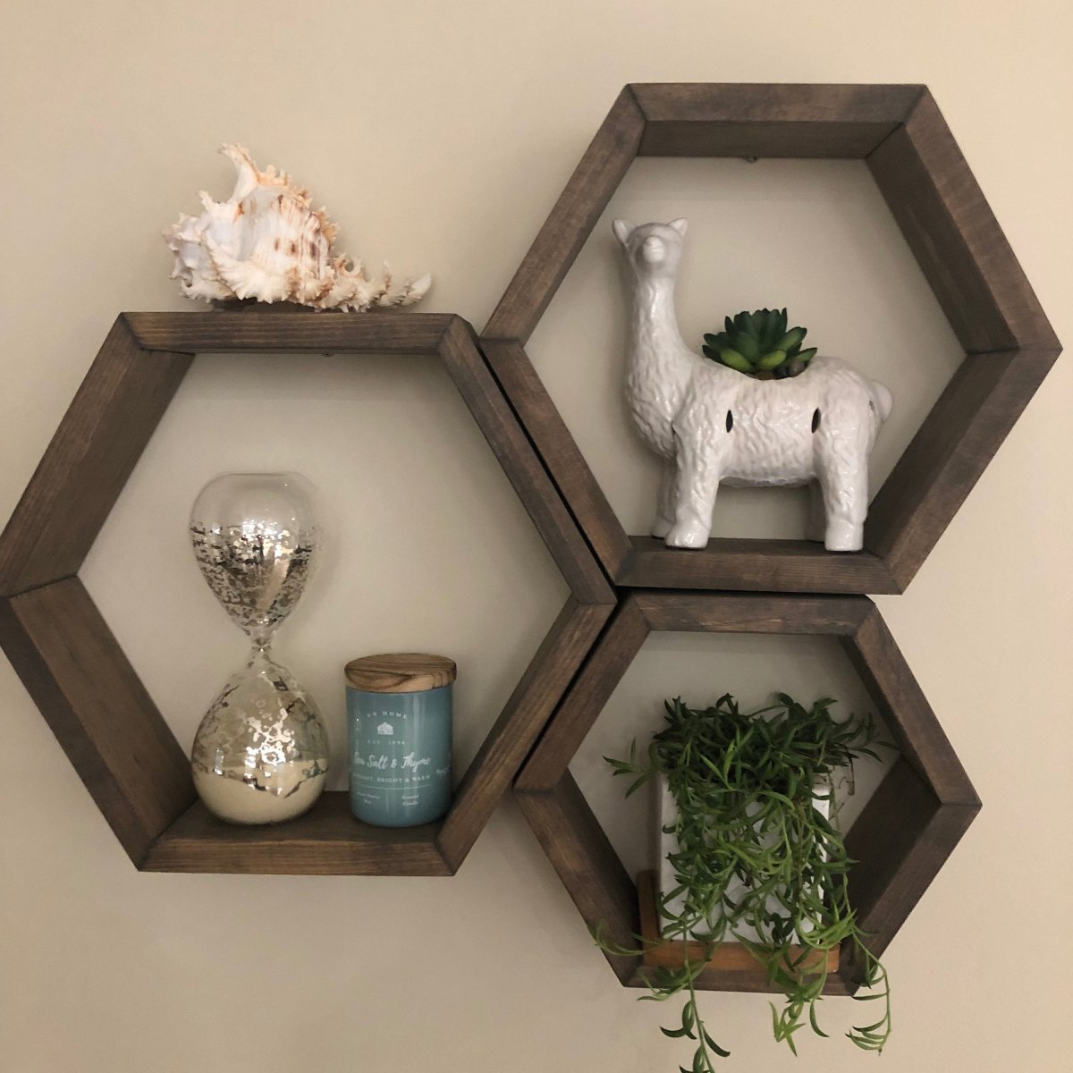 Книжные полки соты