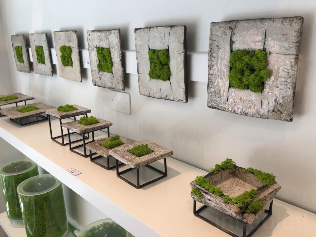 Стабилизированный мох в интерьере