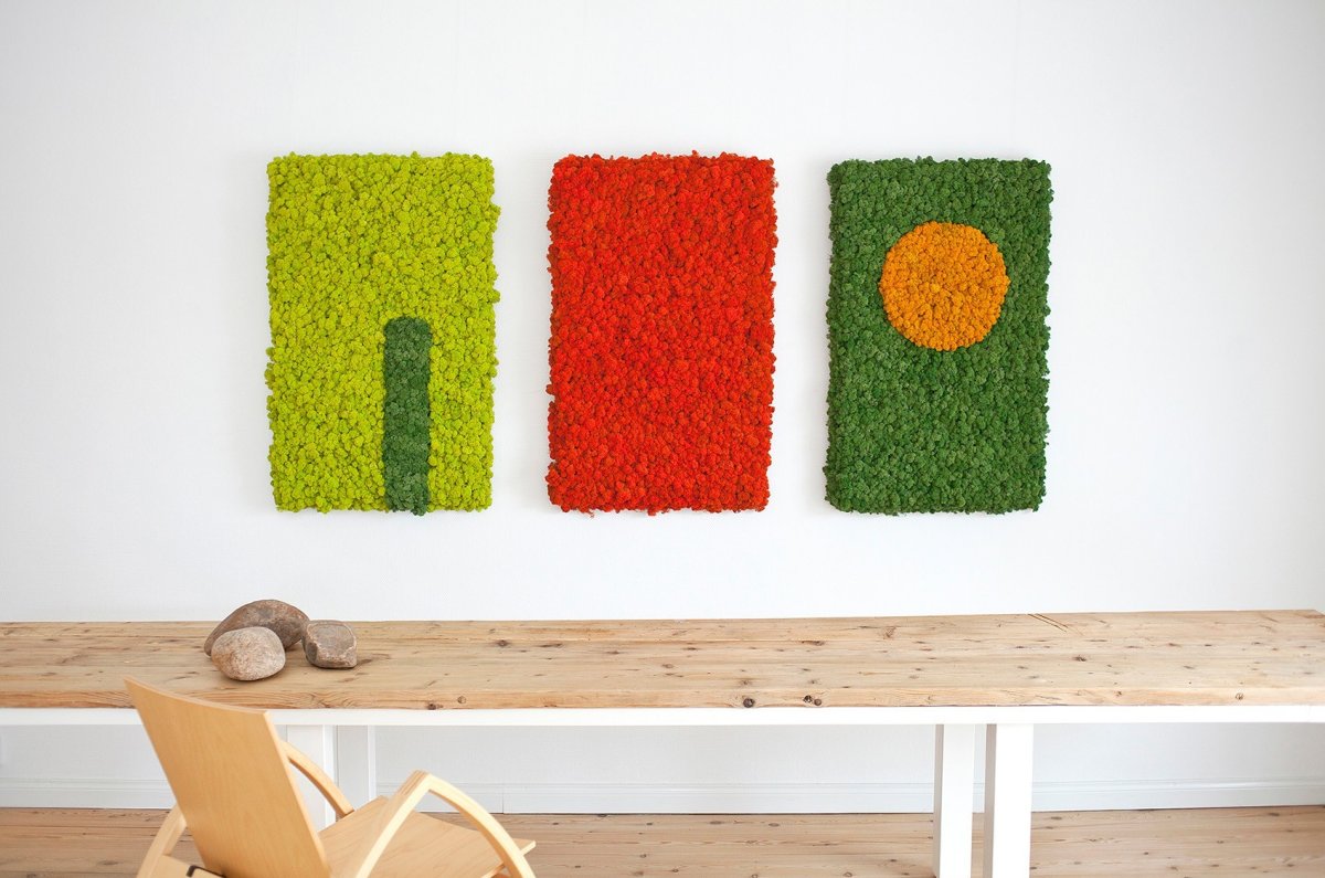 Фитокартины стабилизированный мох