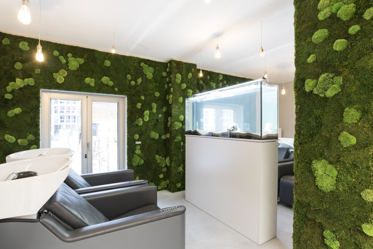 Панно из мха