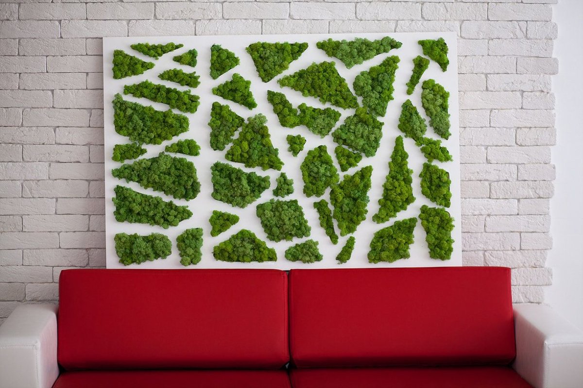 Мох для декора