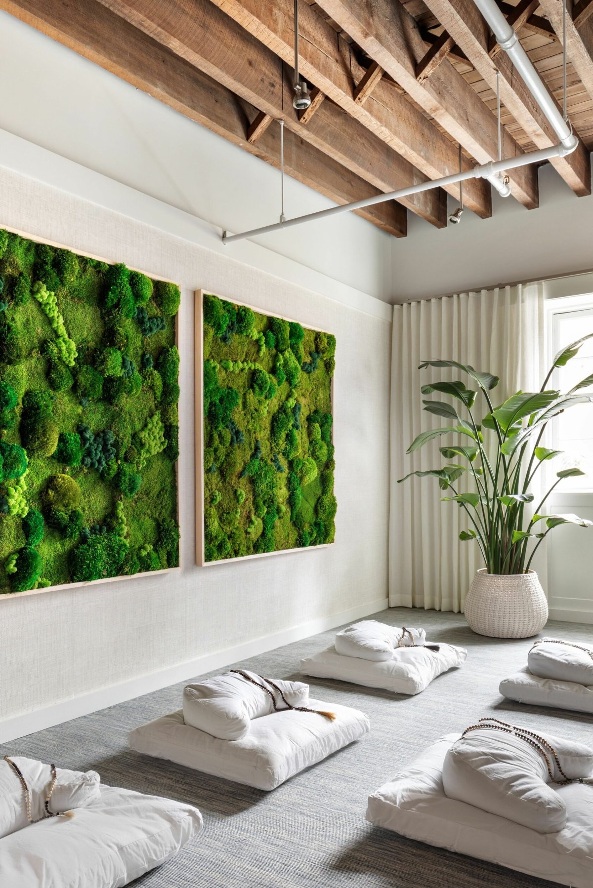 Мох ягель стабилизированный в интерьере