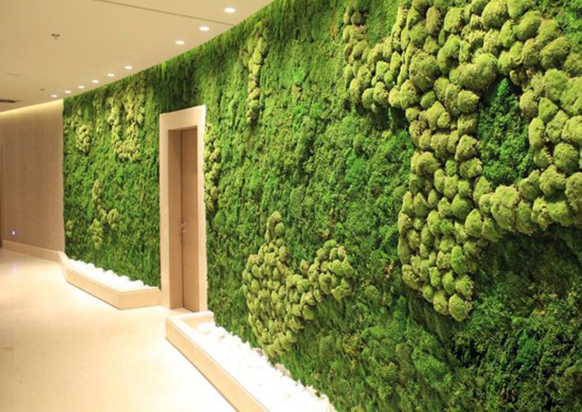 Панно из мха в интерьере