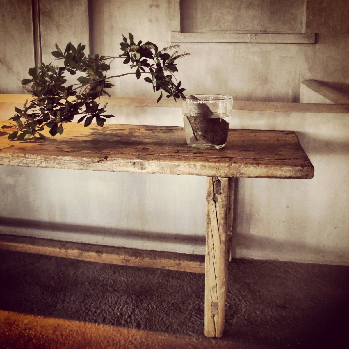 Яйцо Ваби Саби