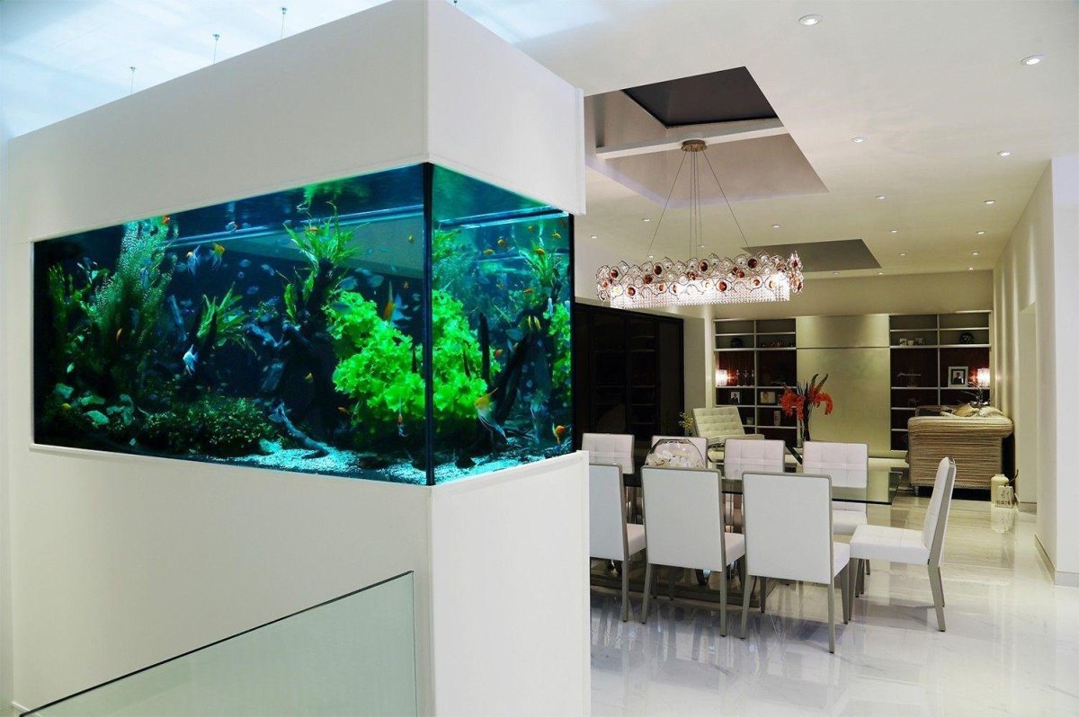 Аквариум Биодизайн в интерьере