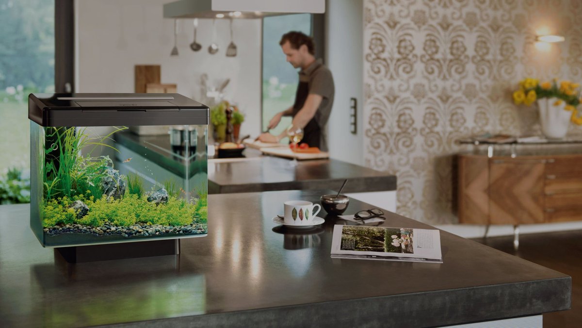 Зонирование комнаты аквариумом