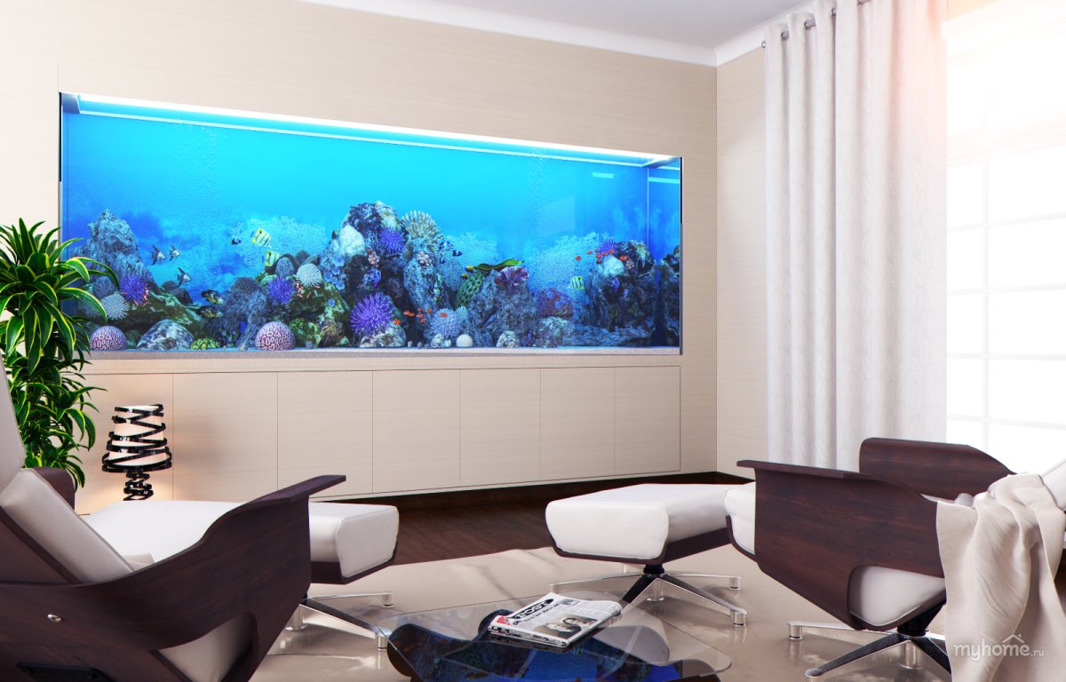 Большой аквариум