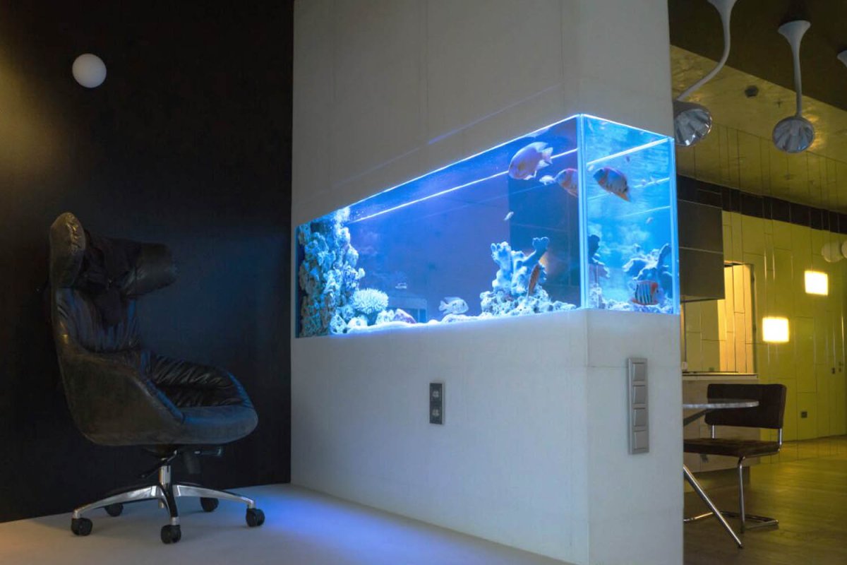 Аквариум в интерьере кухни