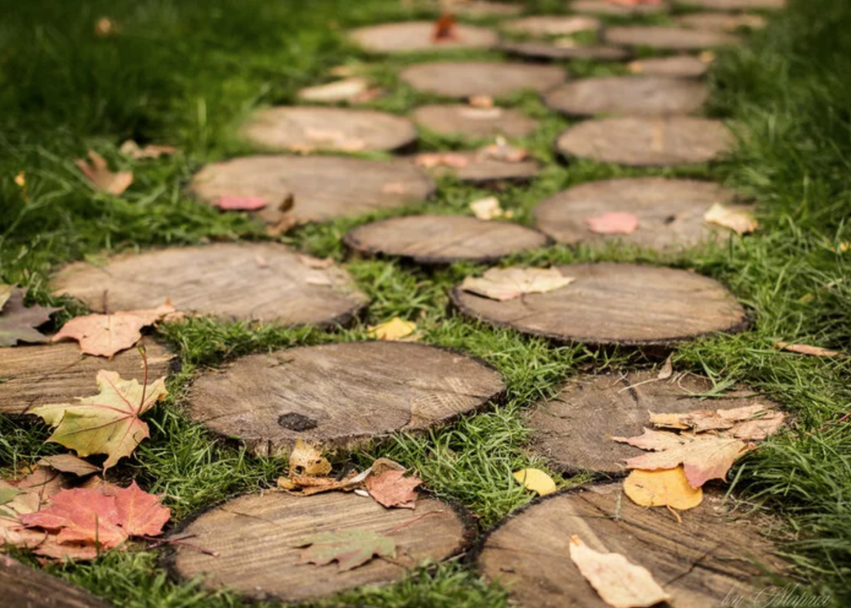 Садовые дорожки из спилов