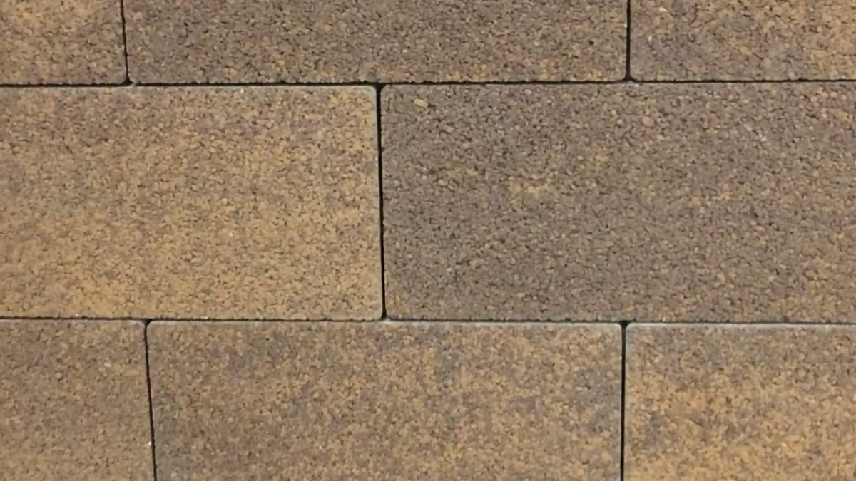 Клевер Краковский малый