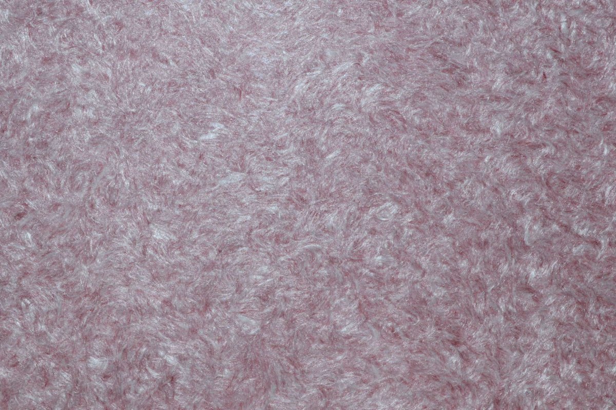 Ойкос отточенто