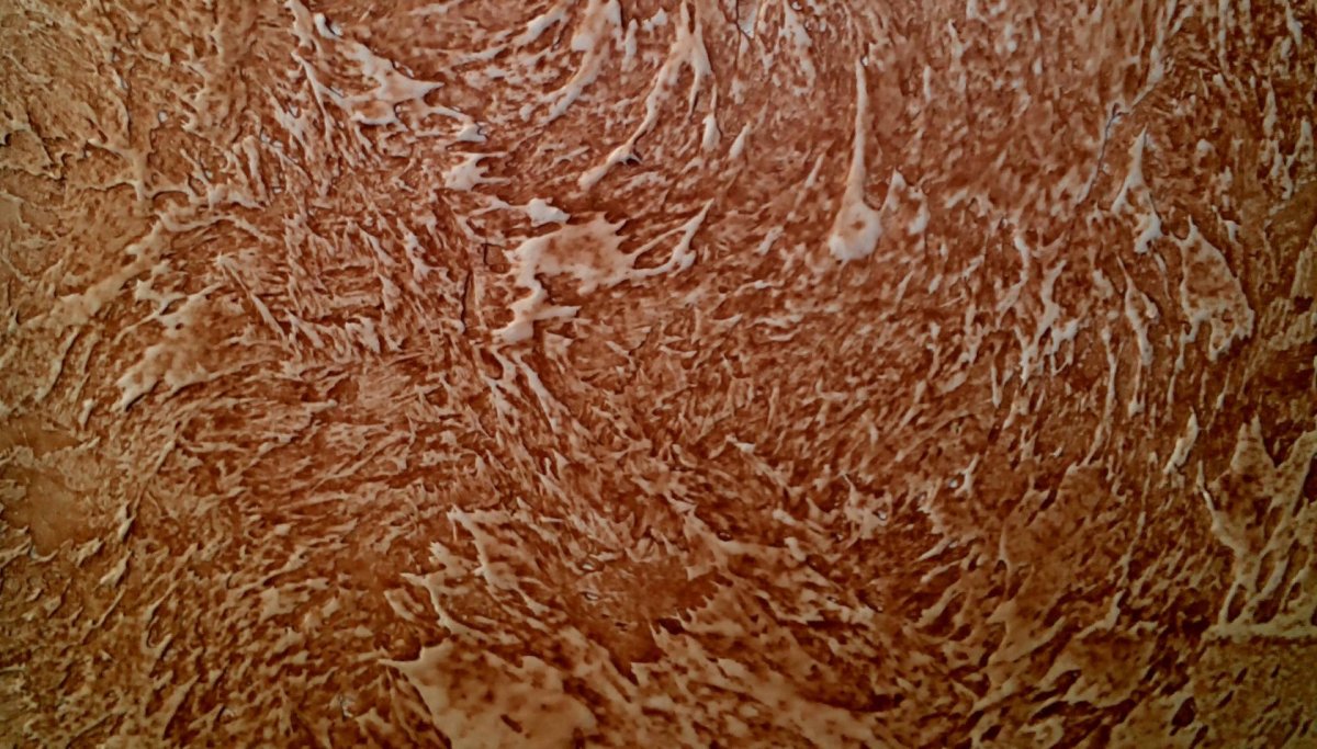 Краска марсельский воск