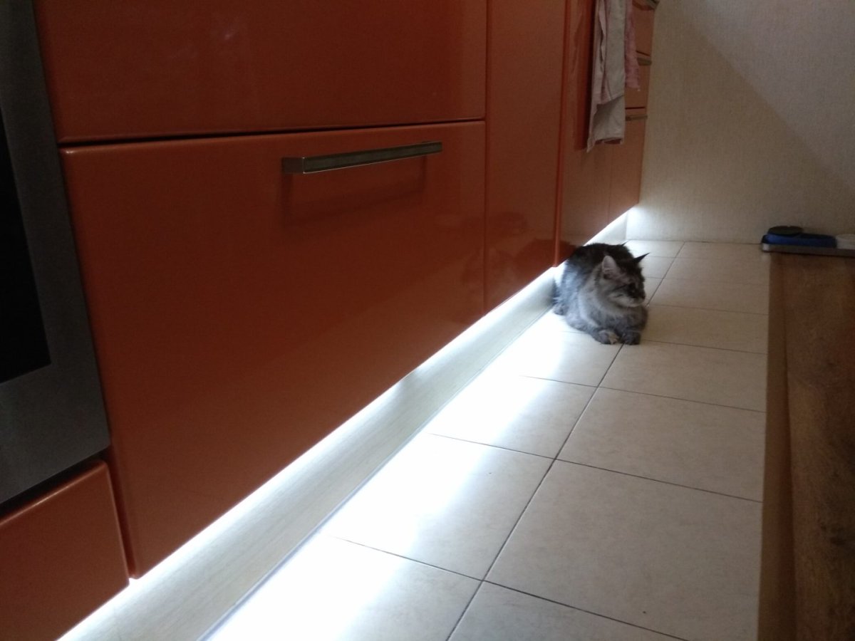 Открытые полочки с подсветкой на кухне