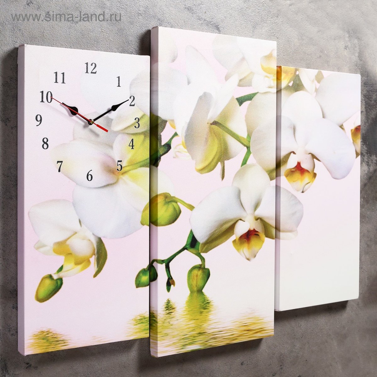 Картины отдельные