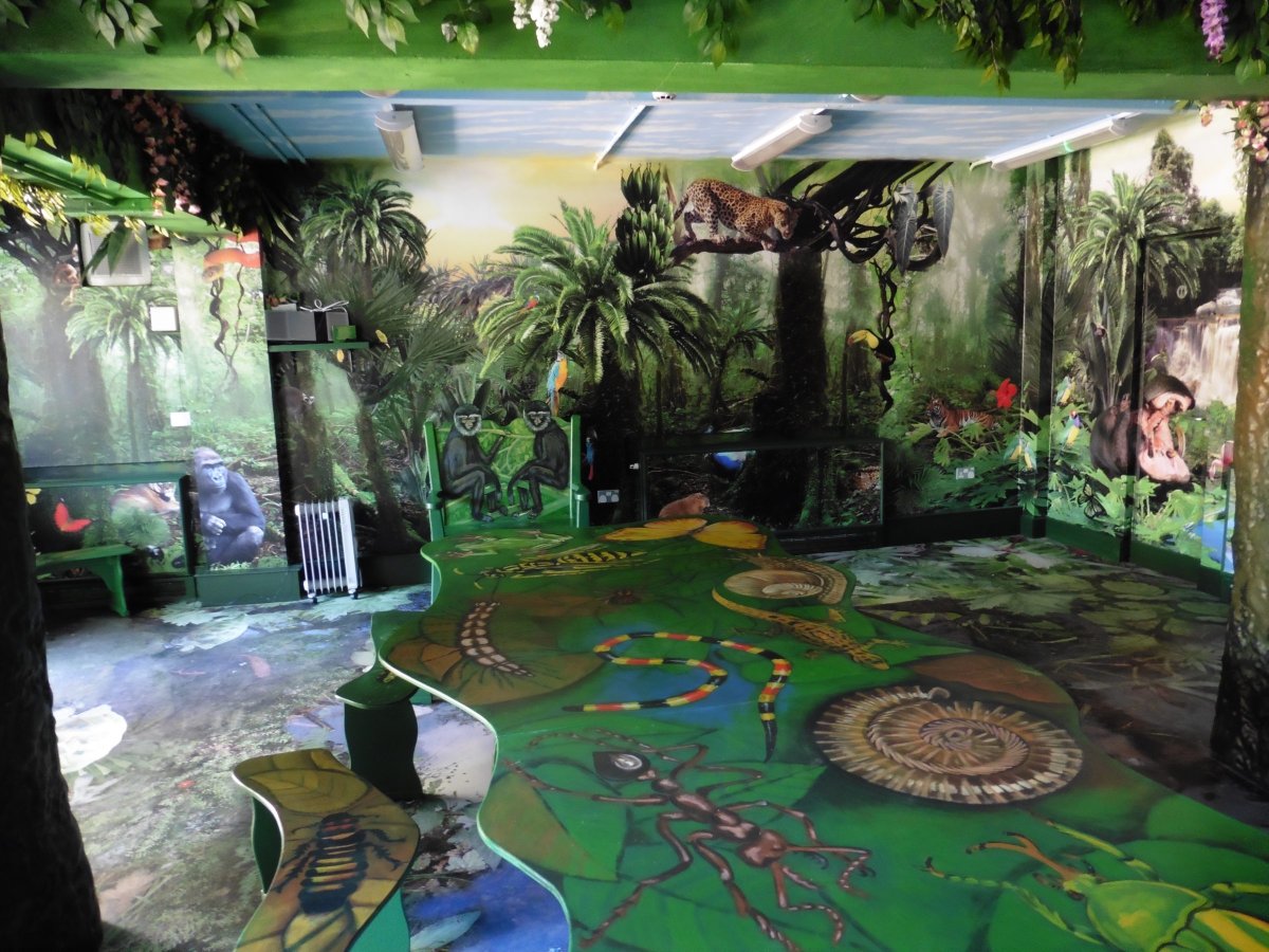 Интерьер детской в стиле джунгли