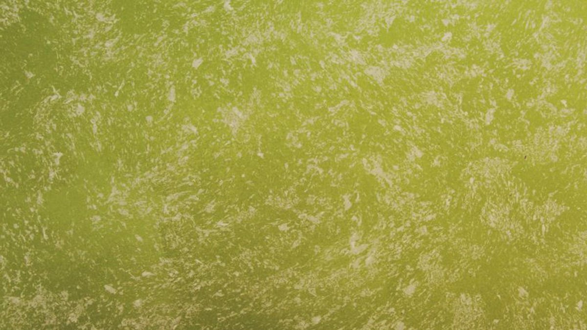 Зеленая бумага